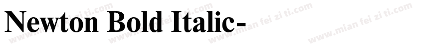 Newton Bold Italic字体转换